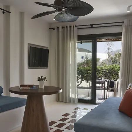 Andronis Minois Hotel