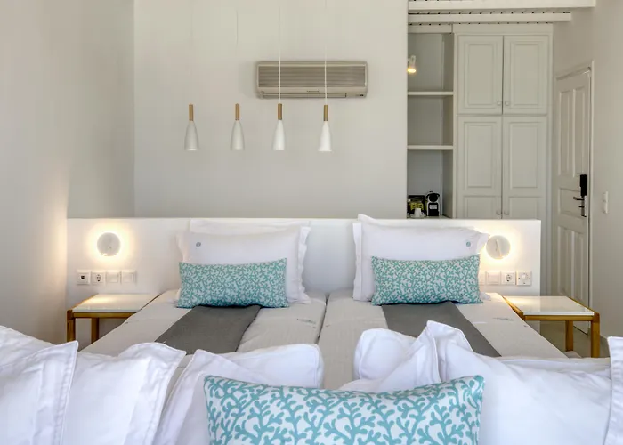 Andronis Minois Hotel 5*