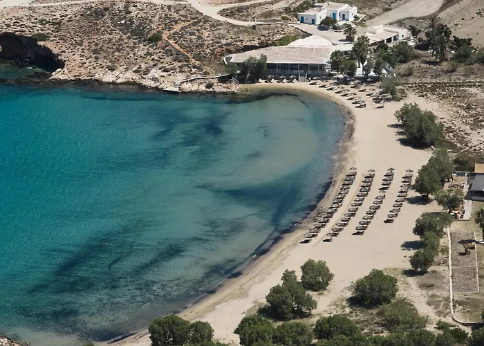 Andronis Minois 5* Παράσπορος